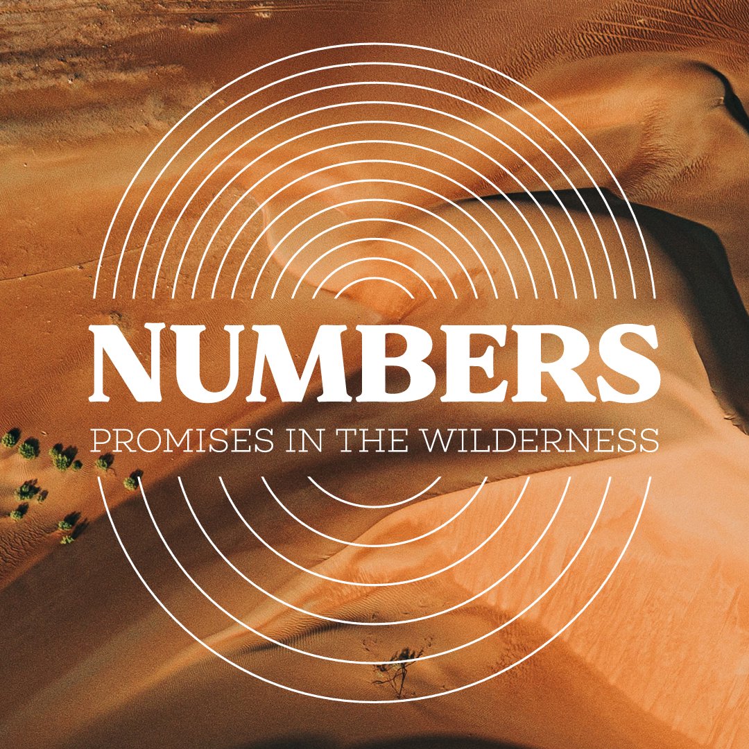 Numbers: New census episode artwork
