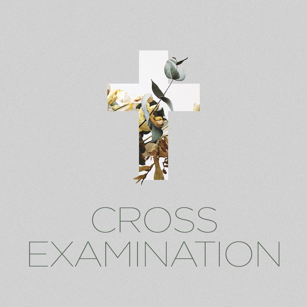 Cross Examination | Week 6