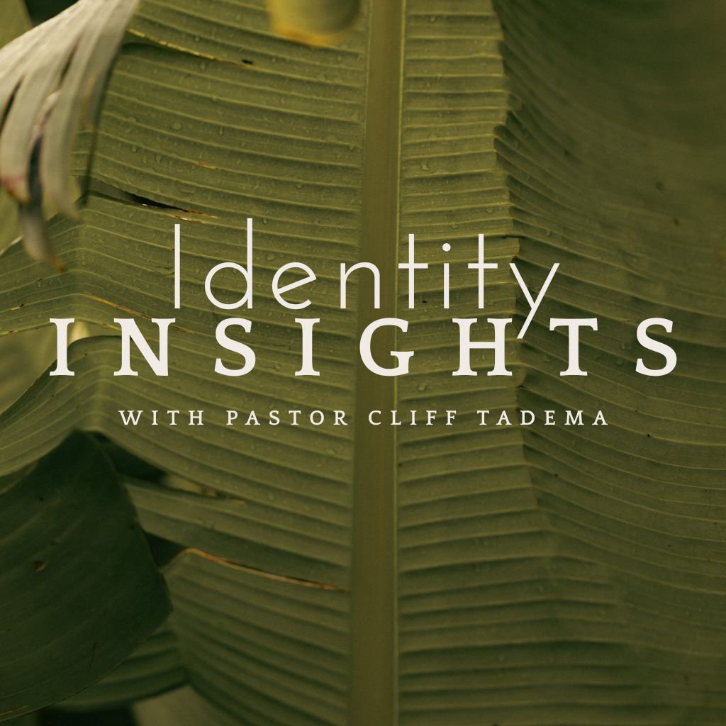 Identity Insights