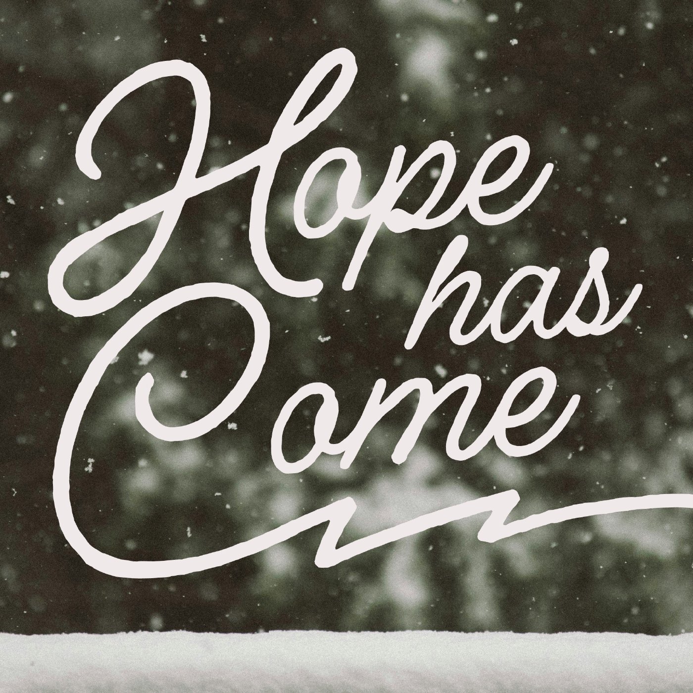 Hope Has Come: Renewed Commitments