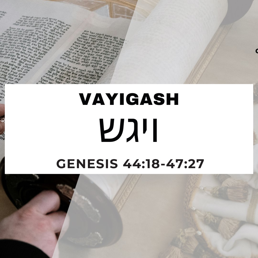 CMC Parasha Vayigash 5786