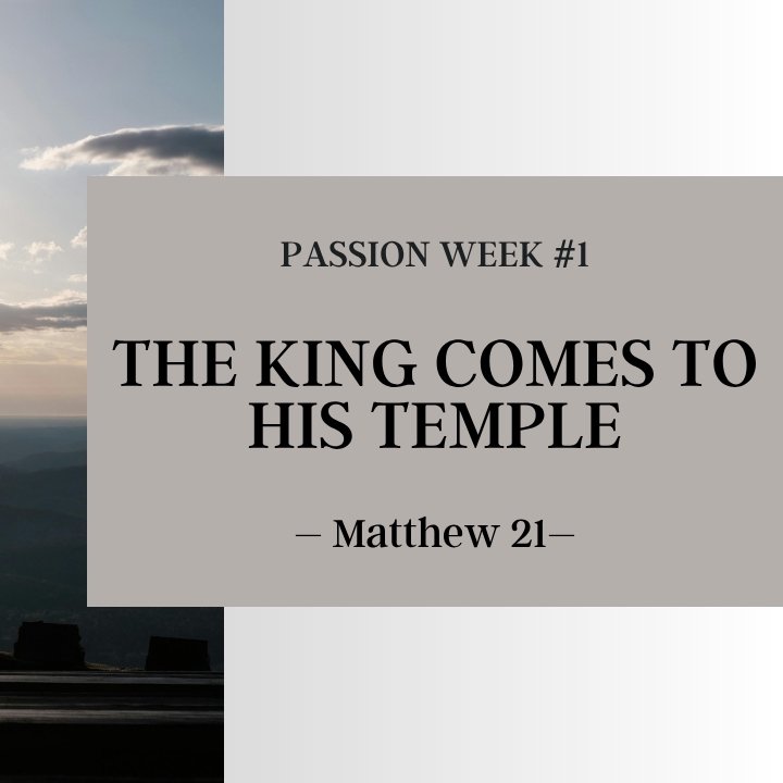 The King Comes to His Temple | Passion Week #1 episode artwork