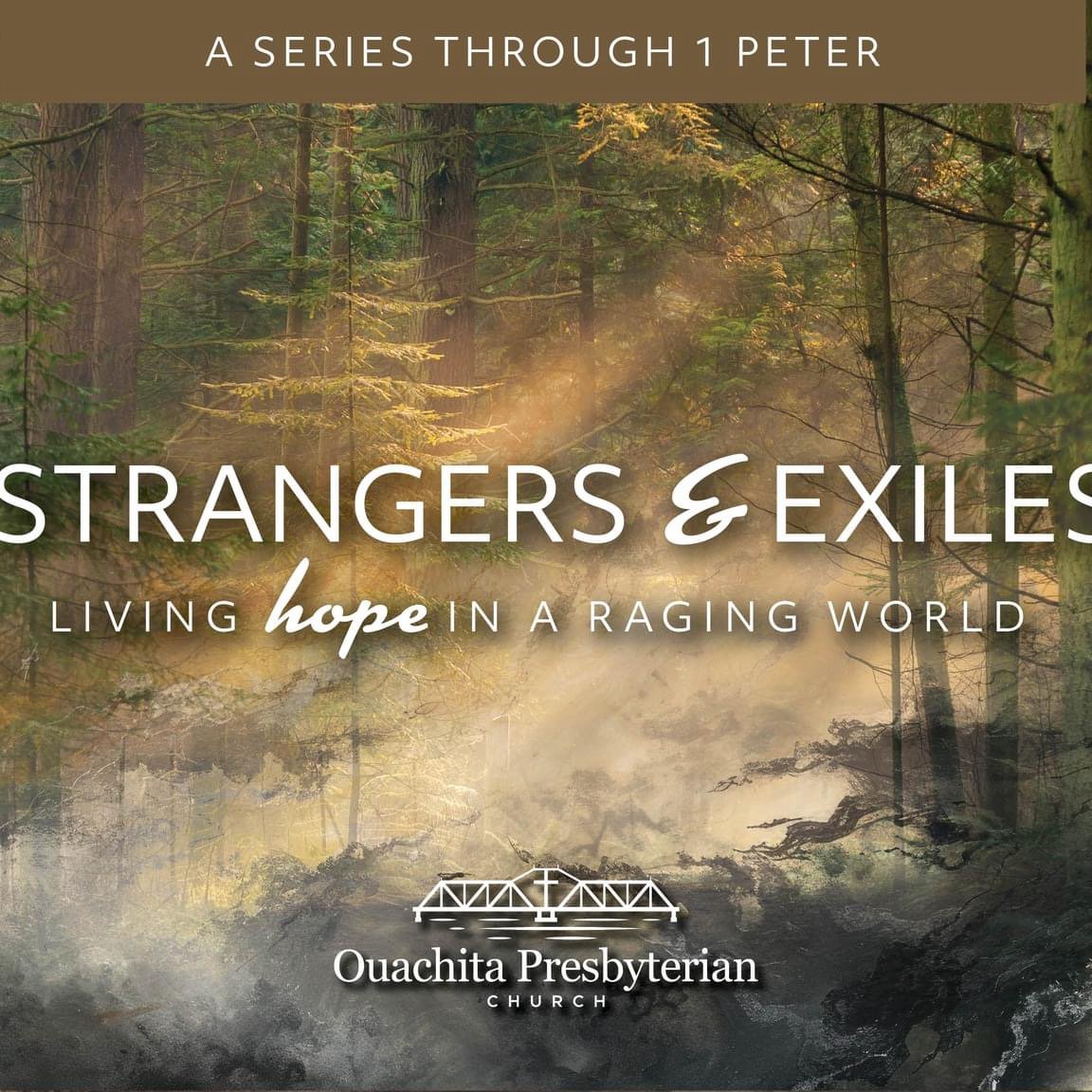 1 Peter 5:6-11, Roaring Lies & Calming Truths for Hurting Pilgrims