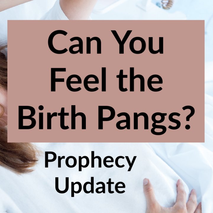Apologetics in Prophecy