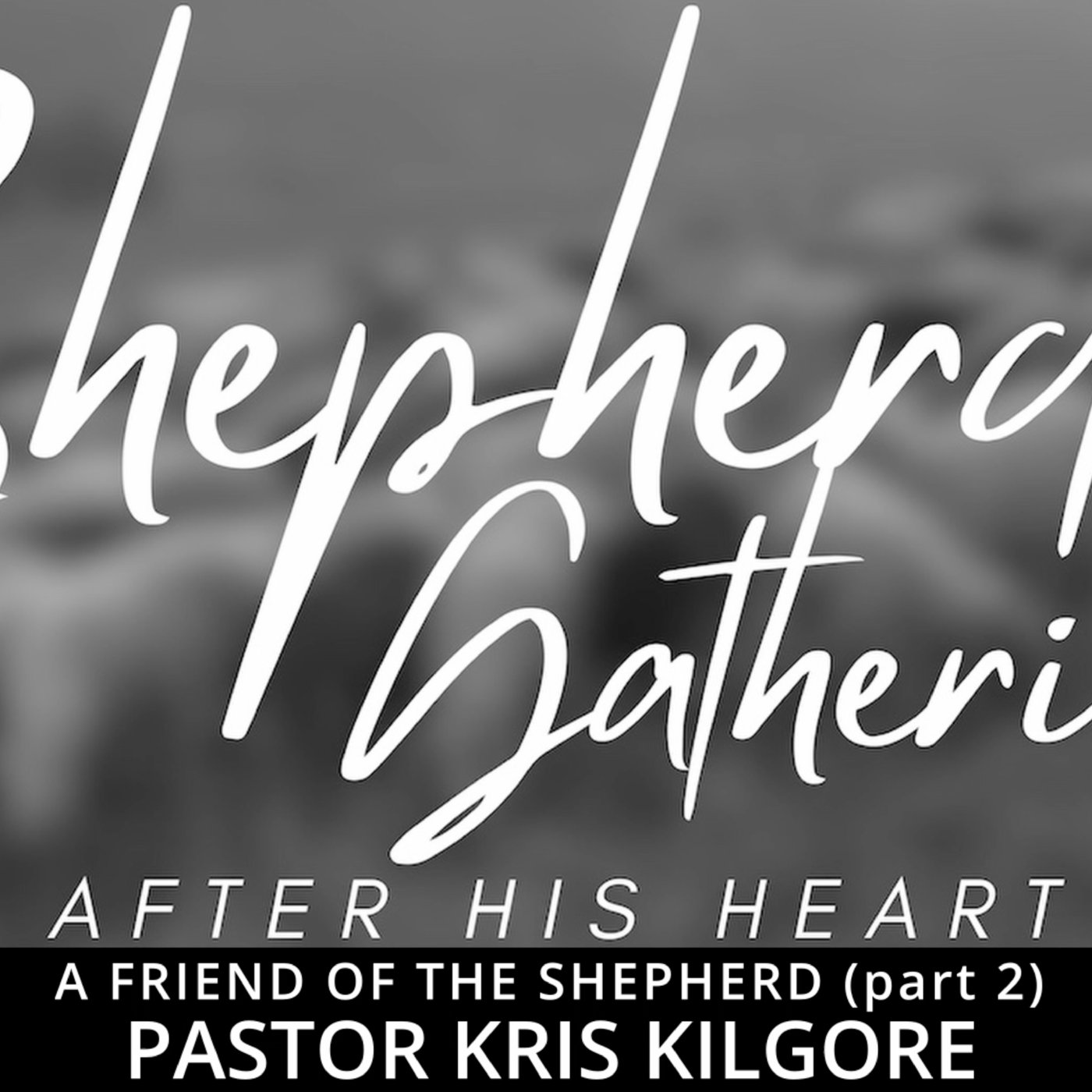A Friend of the Shepherd (part 2) episode artwork