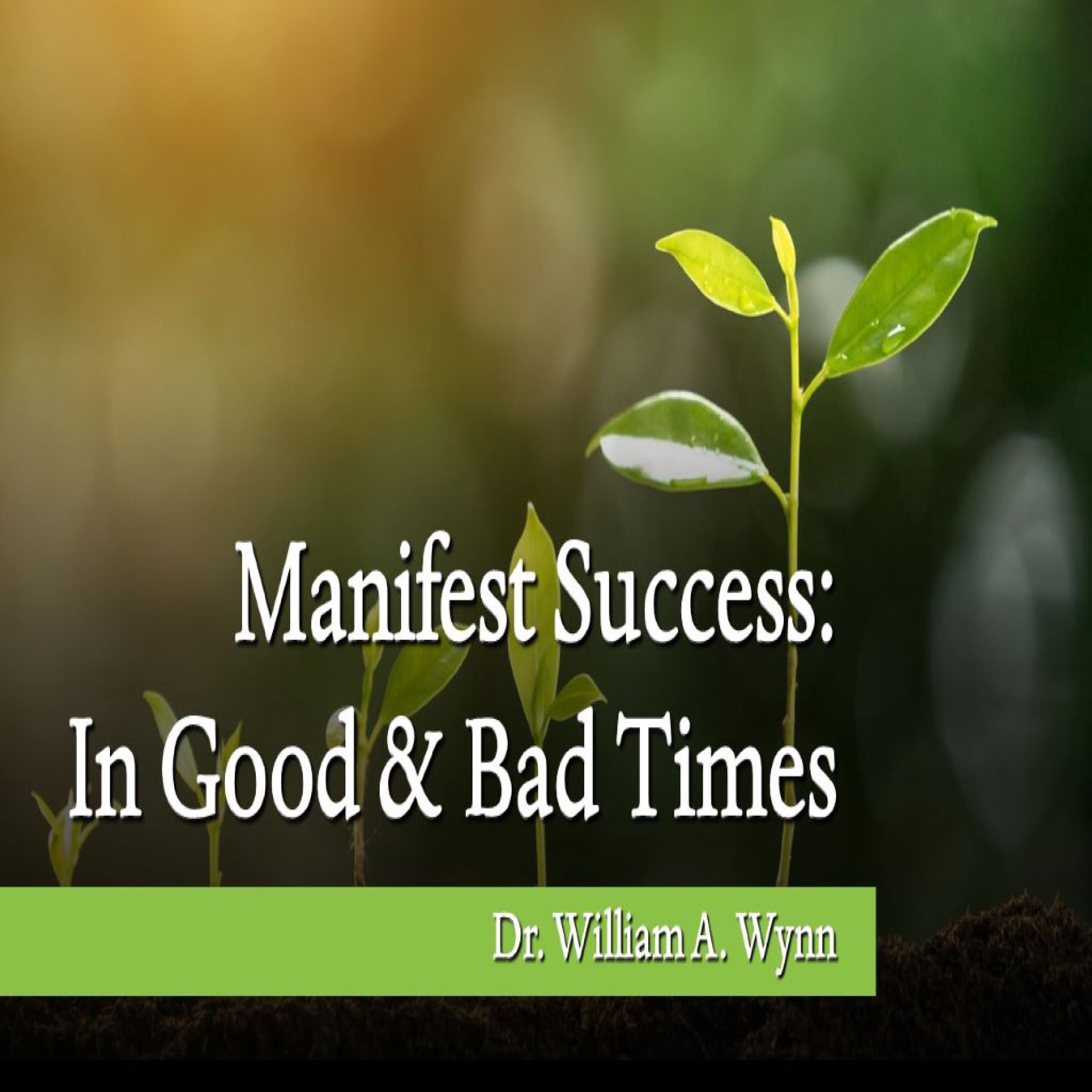 Manifest Success in Good Times & Bad