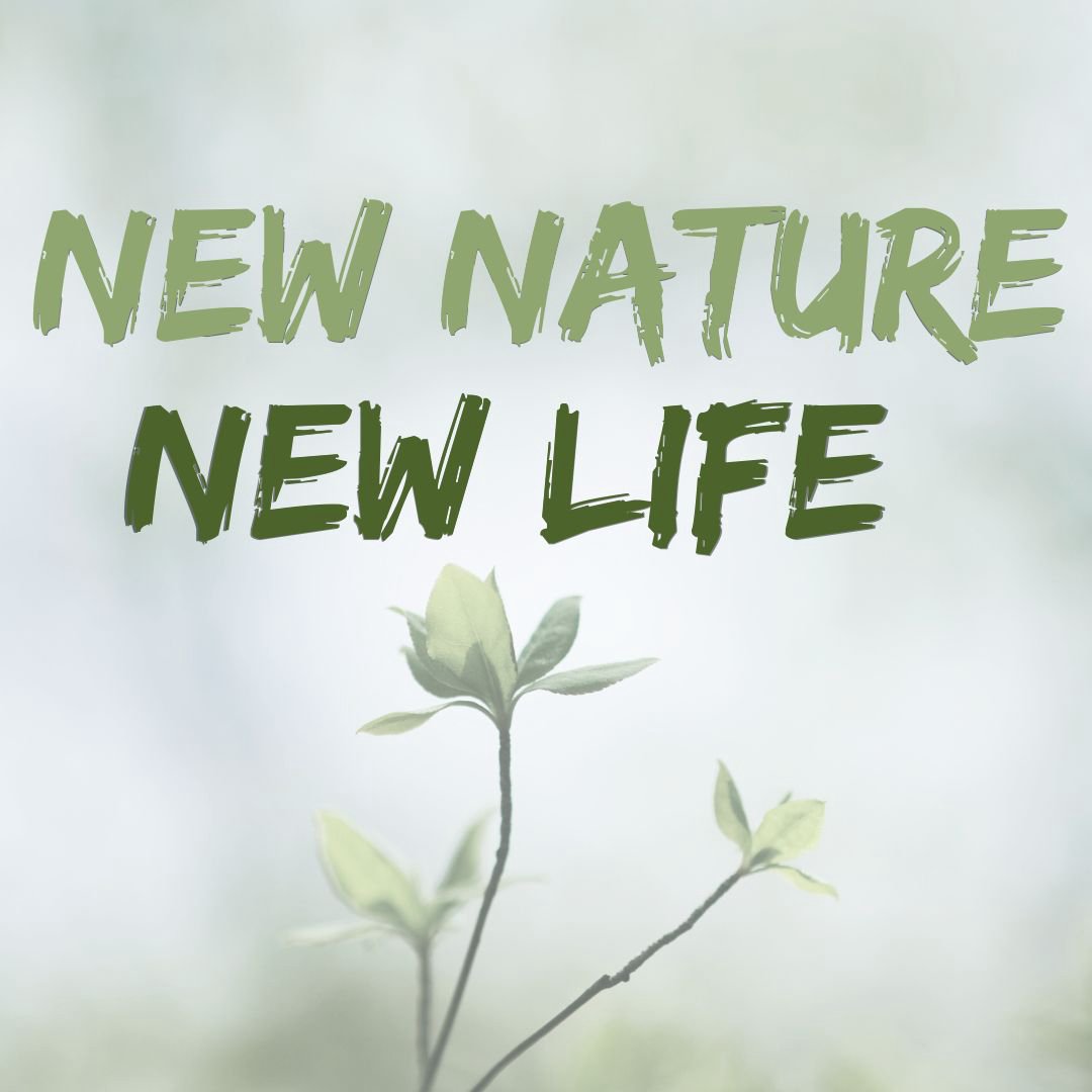 New Nature, New Life | Part 2 | Flesh vs. Spirit episode artwork
