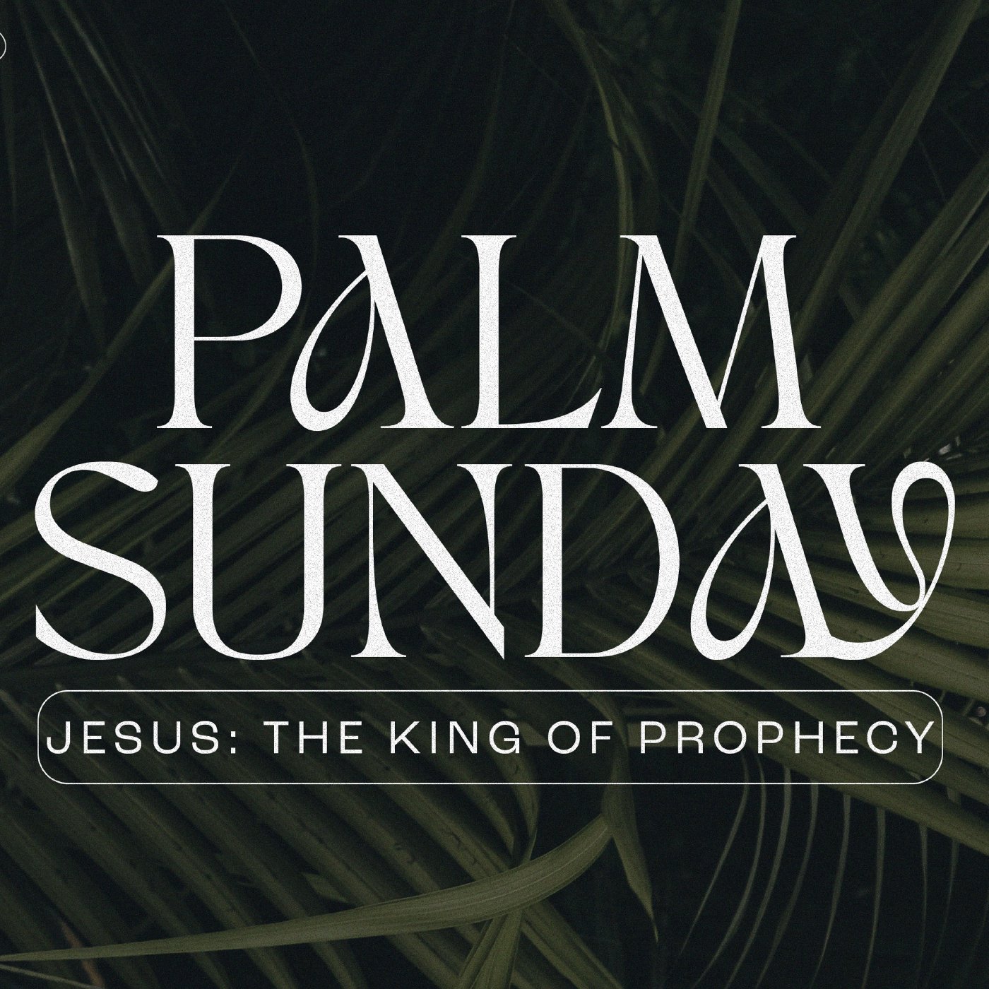 Jesus: The King Of Prophecy - Palm Sunday