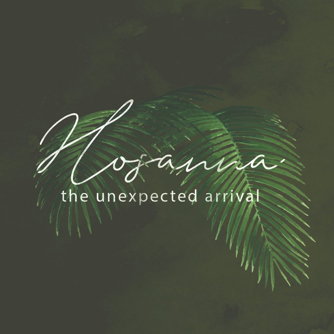 Hosanna: The Unexpected Arrival episode artwork