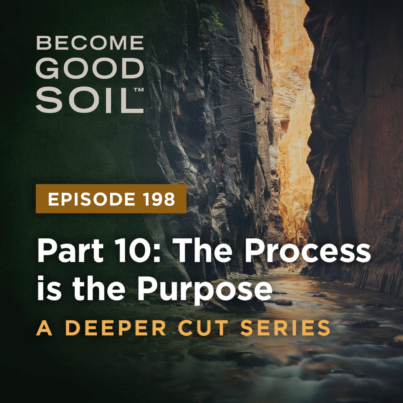 198: The Process is the Purpose – A Deeper Cut Series (Part 10)