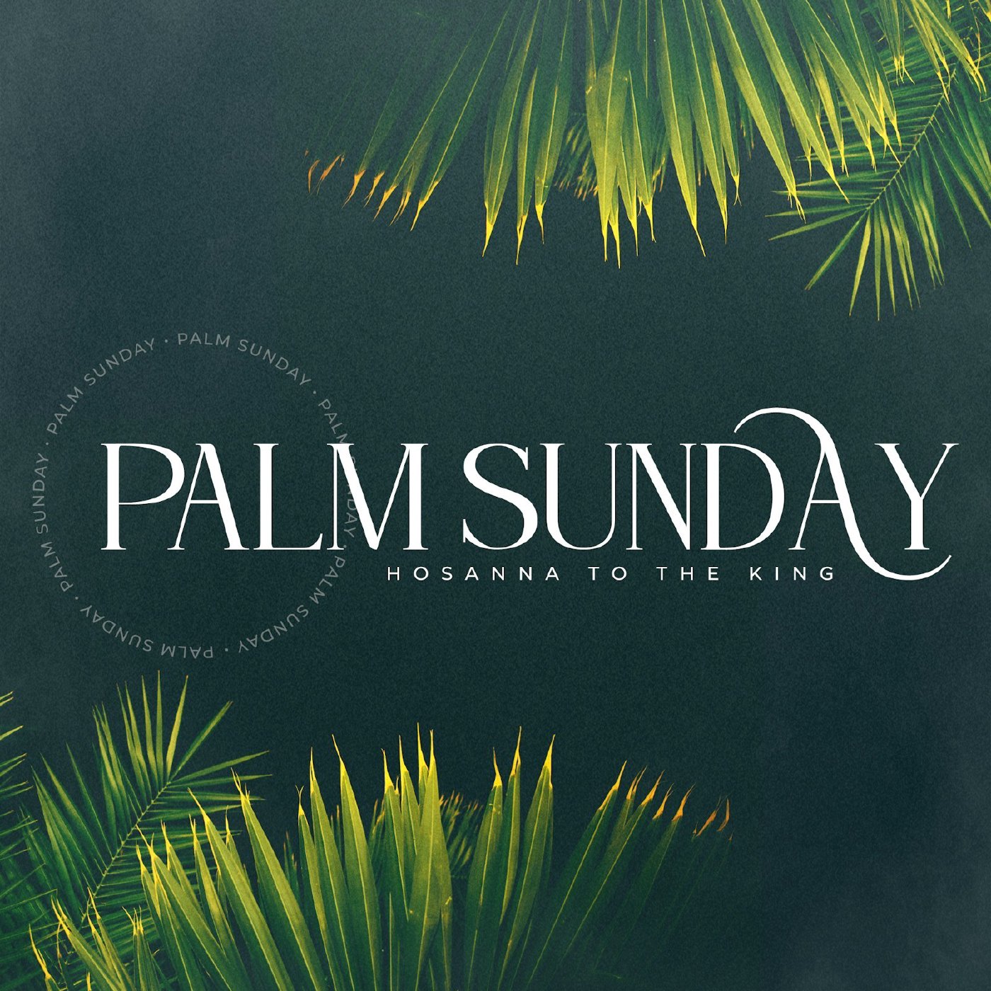 Palm Sunday | Sunday, March 24th Live Service episode artwork