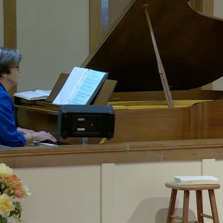 "America The Beautiful" - Piano/Organ Duet by Lynne McMurtry and Nancy Ellis episode artwork