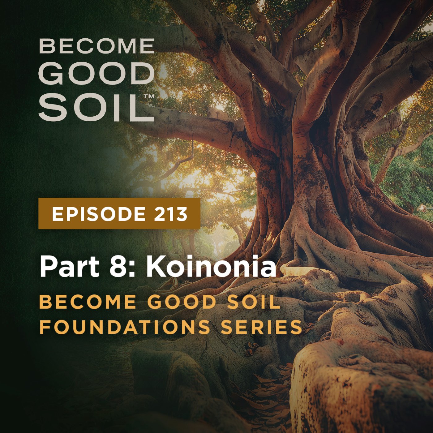 213: Koinonia – Become Good Soil Foundation Series (Part 8) episode artwork