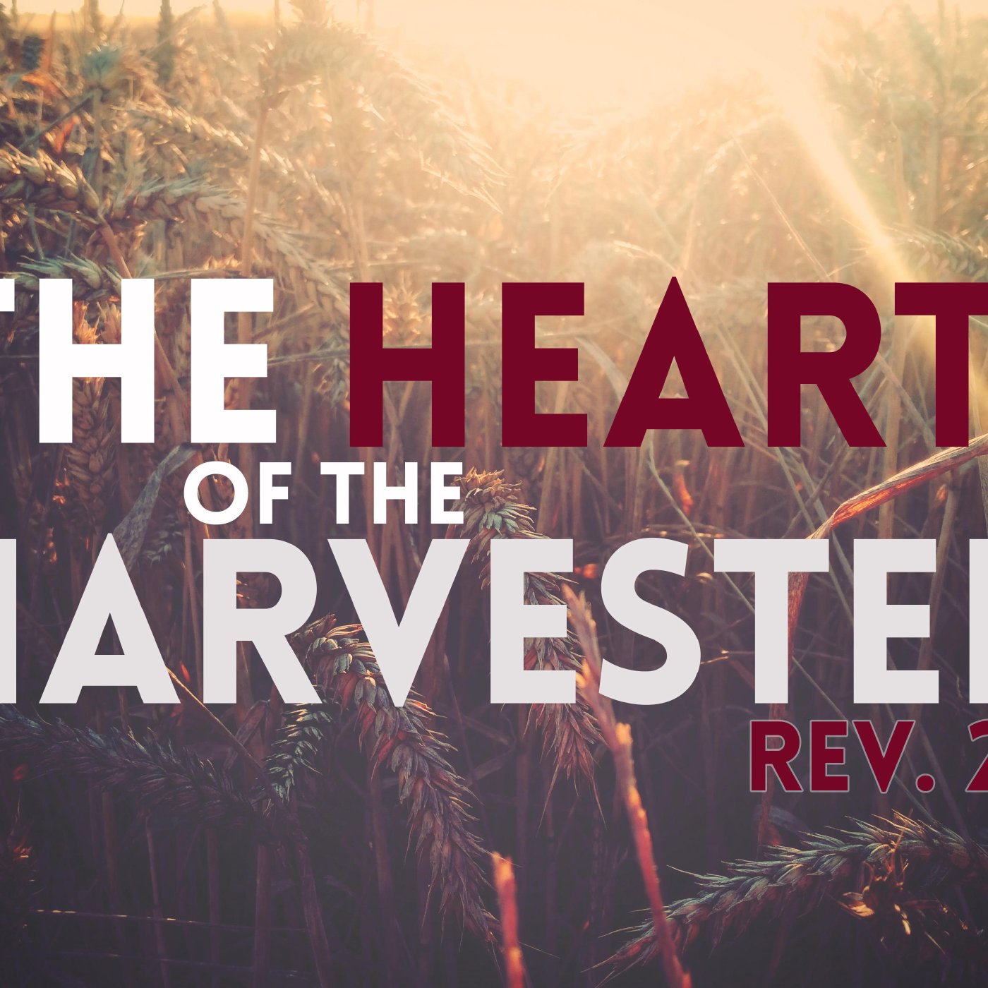 The Heart of the Harvester episode artwork