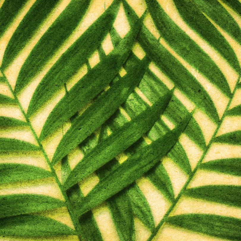 Palm Sunday: Jesus the Protester and Thoughts for Today episode artwork