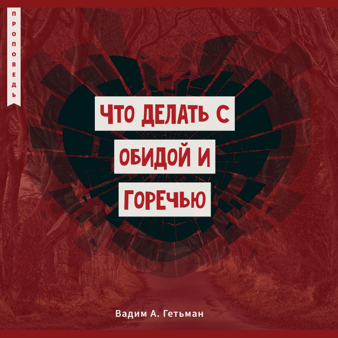 Что делать с обидой и горечью — Вадим А. Гетьман