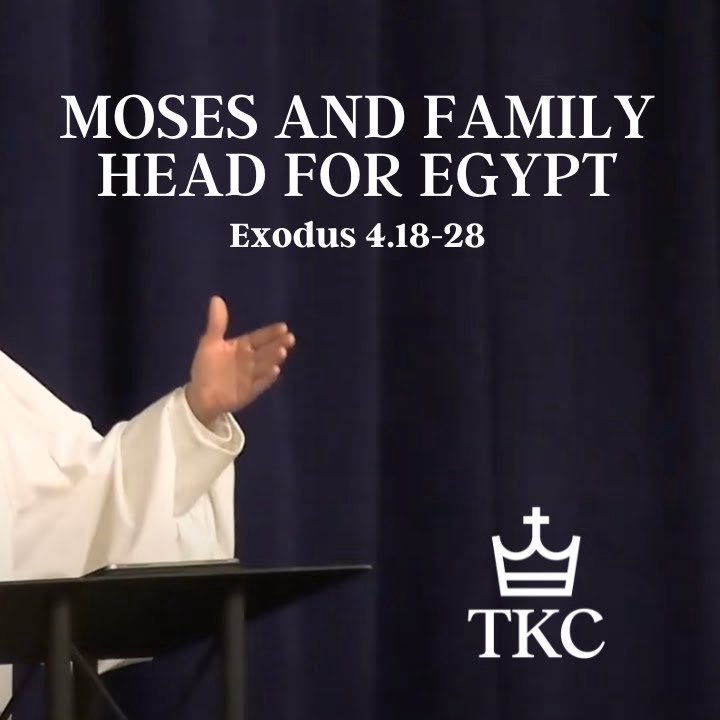 Moses and Family Head for Egypt | Exodus episode artwork