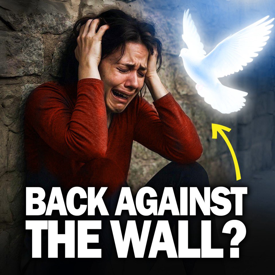 When Your Back Is Against the Wall