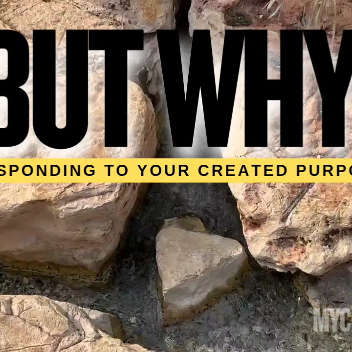 But Why? | Crossfire Healing House episode artwork