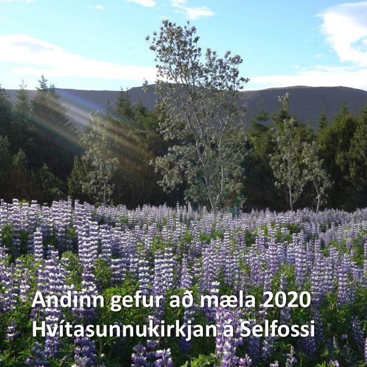 Selfossgospel