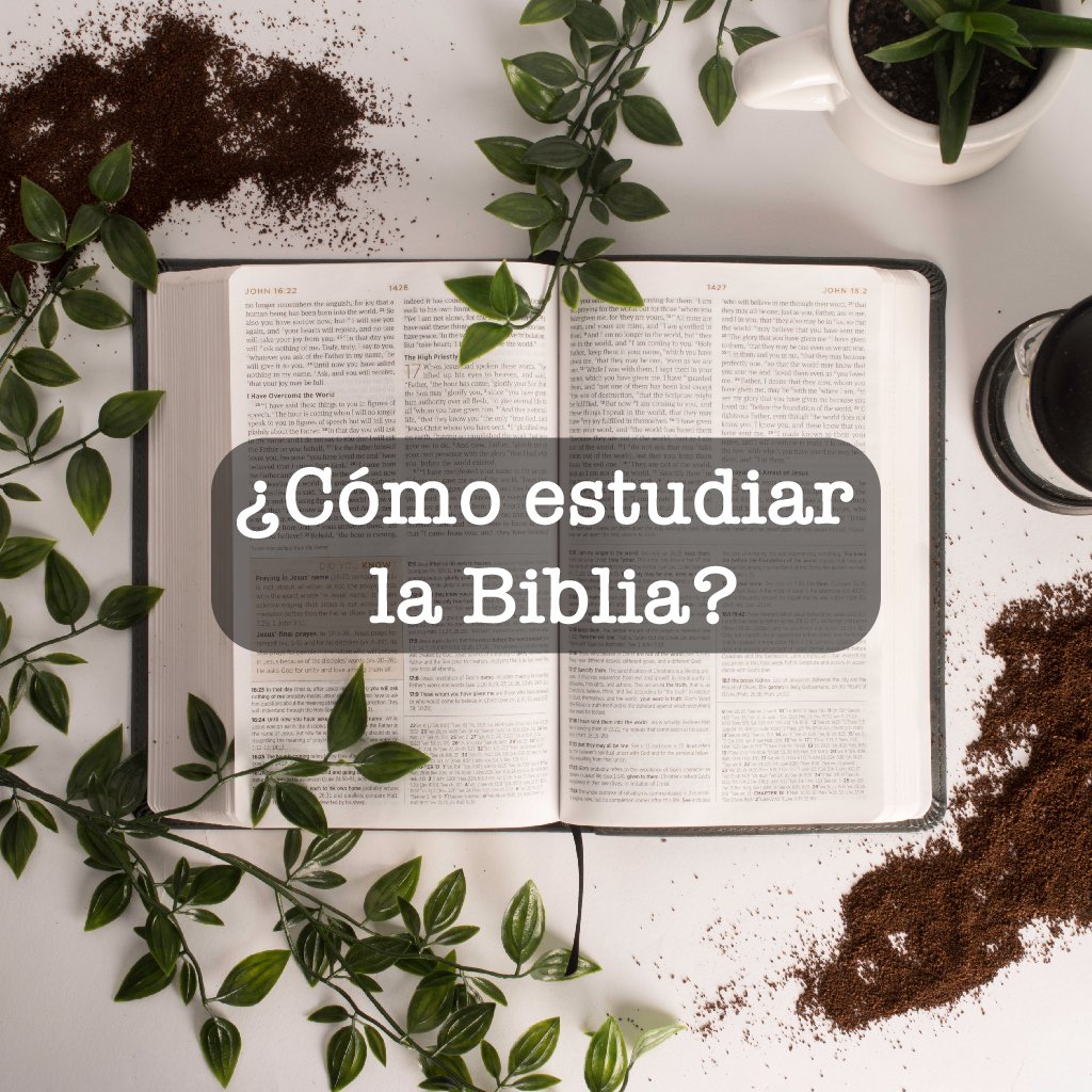 ¿Cómo estudiar la Biblia?