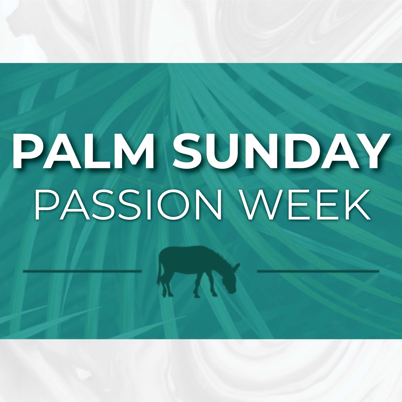 Family Church PC - Weekly Sermons