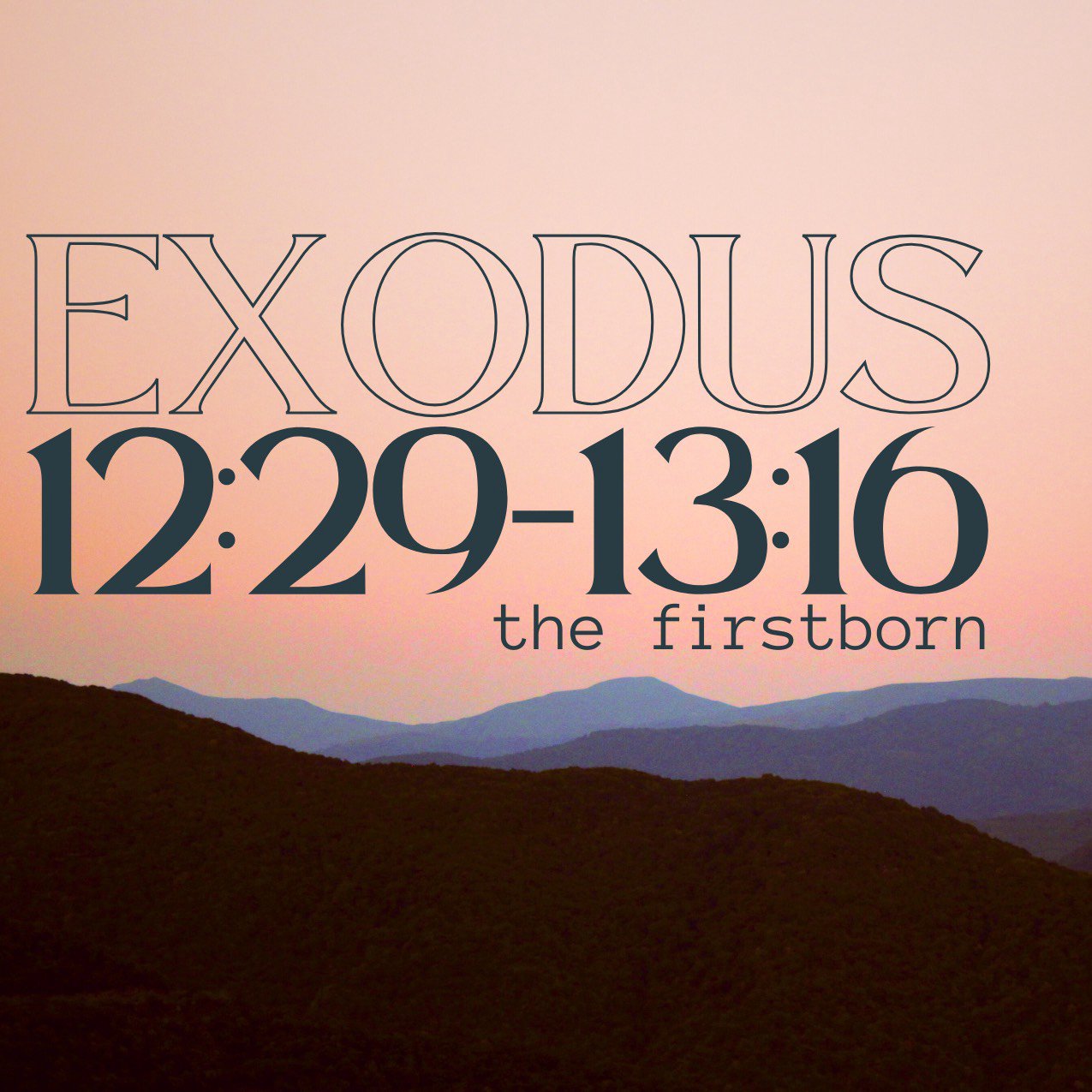 "The Firstborn" - Exodus 12:29-13:16 episode artwork