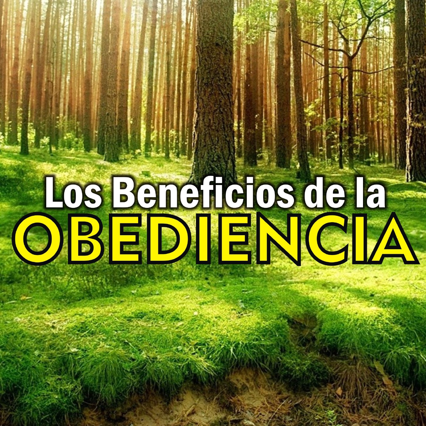 Exclusividad y separación - 5025