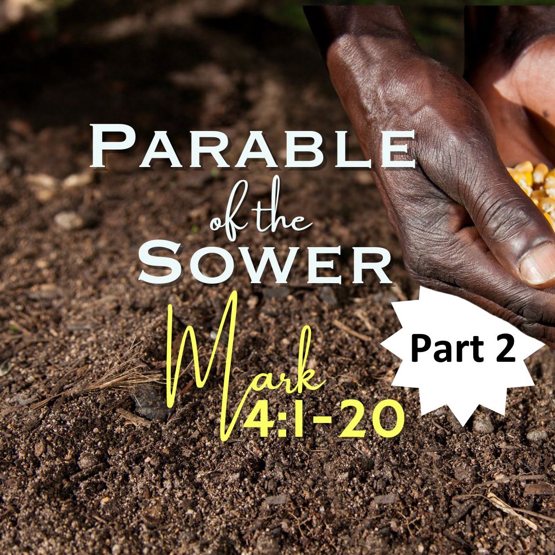 Calvary Baltimore Weekly Sermons