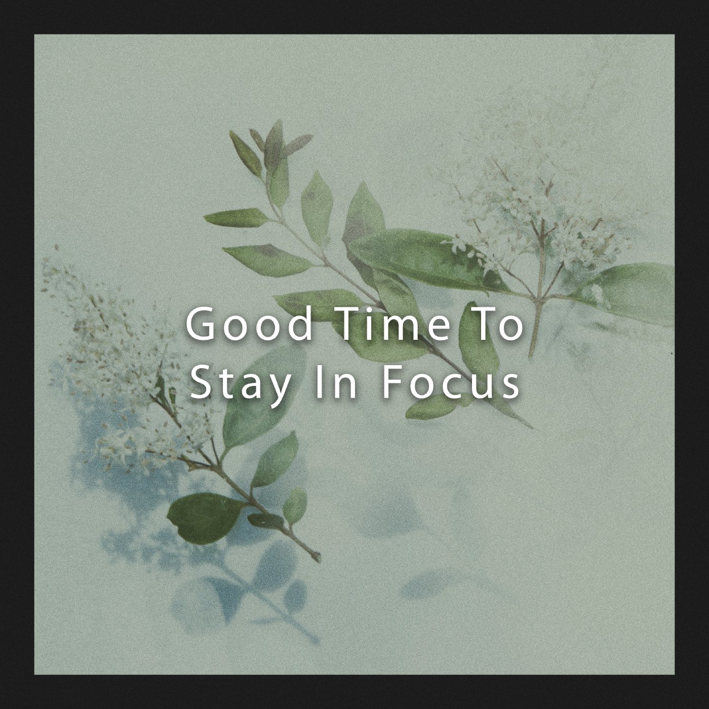 Good Time To Stay In Focus