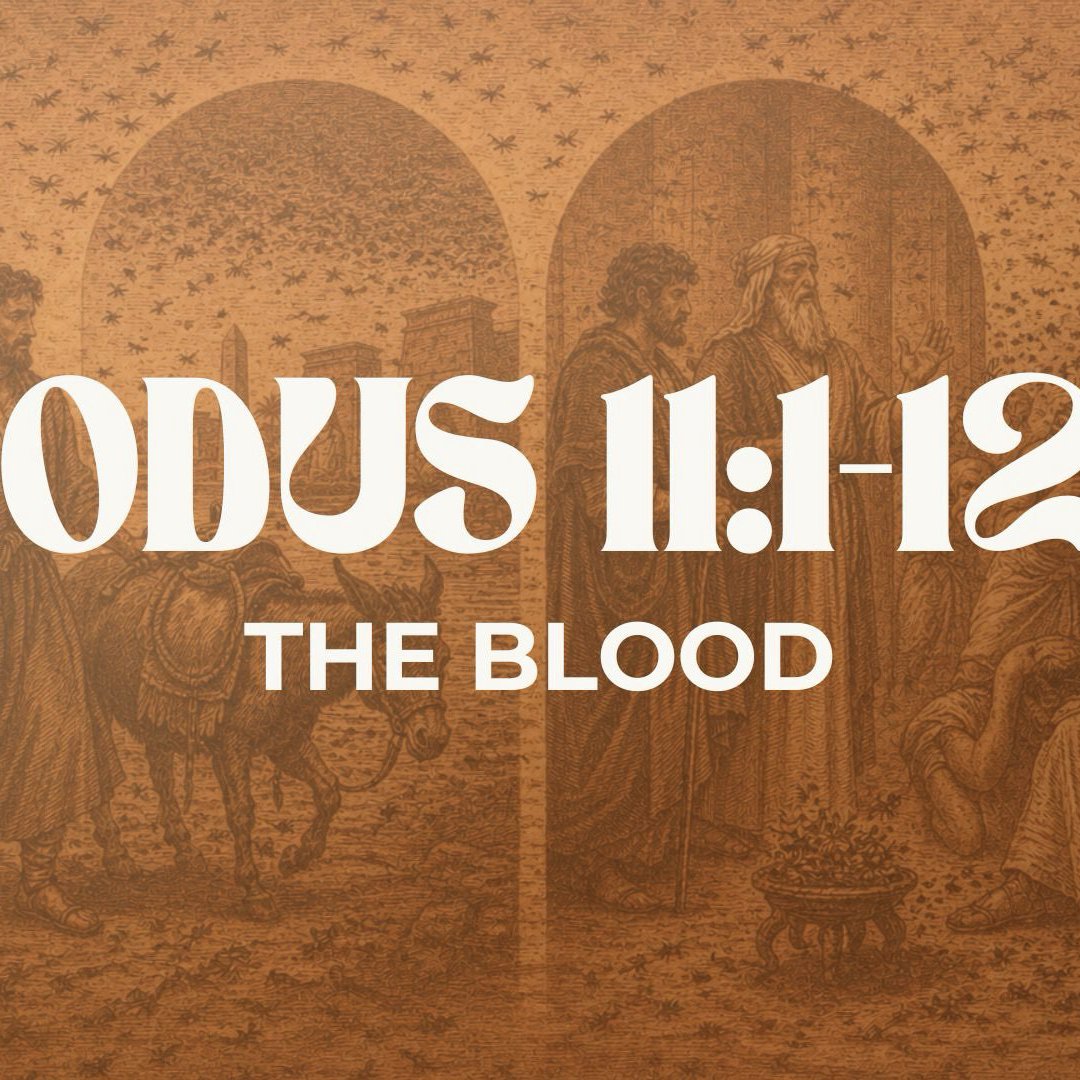 The Blood - Exodus 11:1-12:13 episode artwork