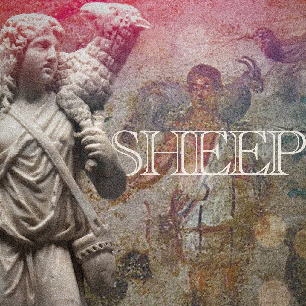 Sheep episode artwork