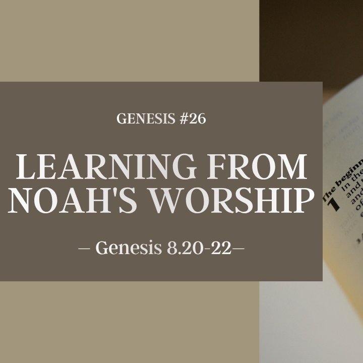 Learning from Noah's Worship | Genesis #26 episode artwork