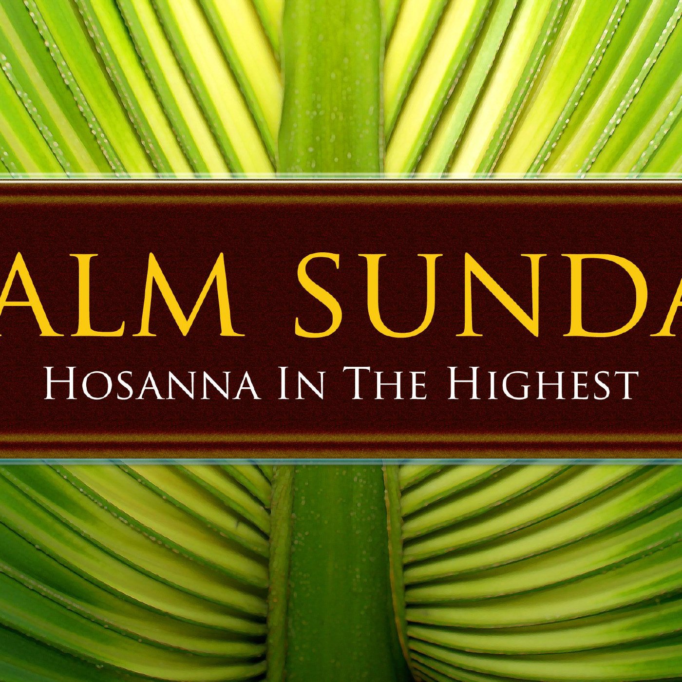 Palm Sunday 2024 - Appointment in Jerusalem episode artwork