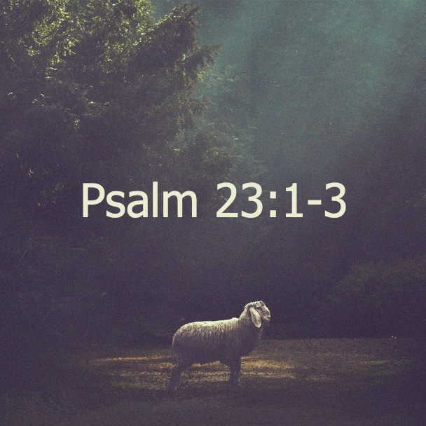 HighPoint Community Church Podcast