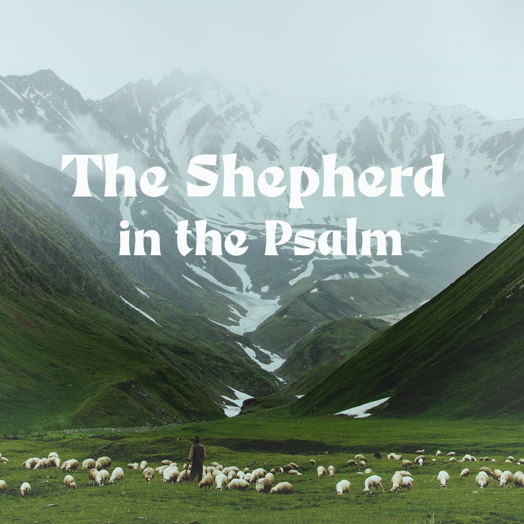 The Shepherd Comforts and Protects