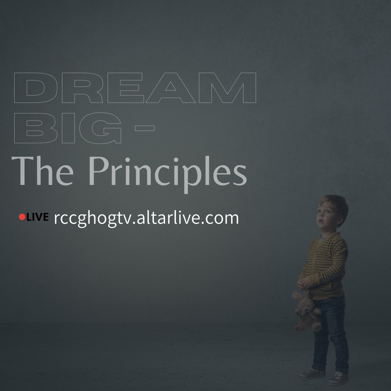 Dream Big : The Principles episode artwork