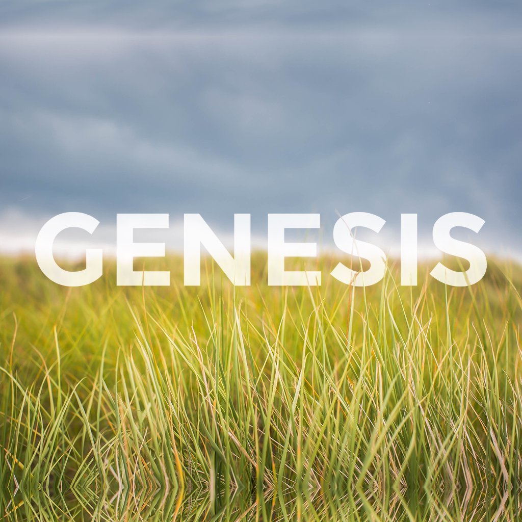 Genesis 26 episode artwork