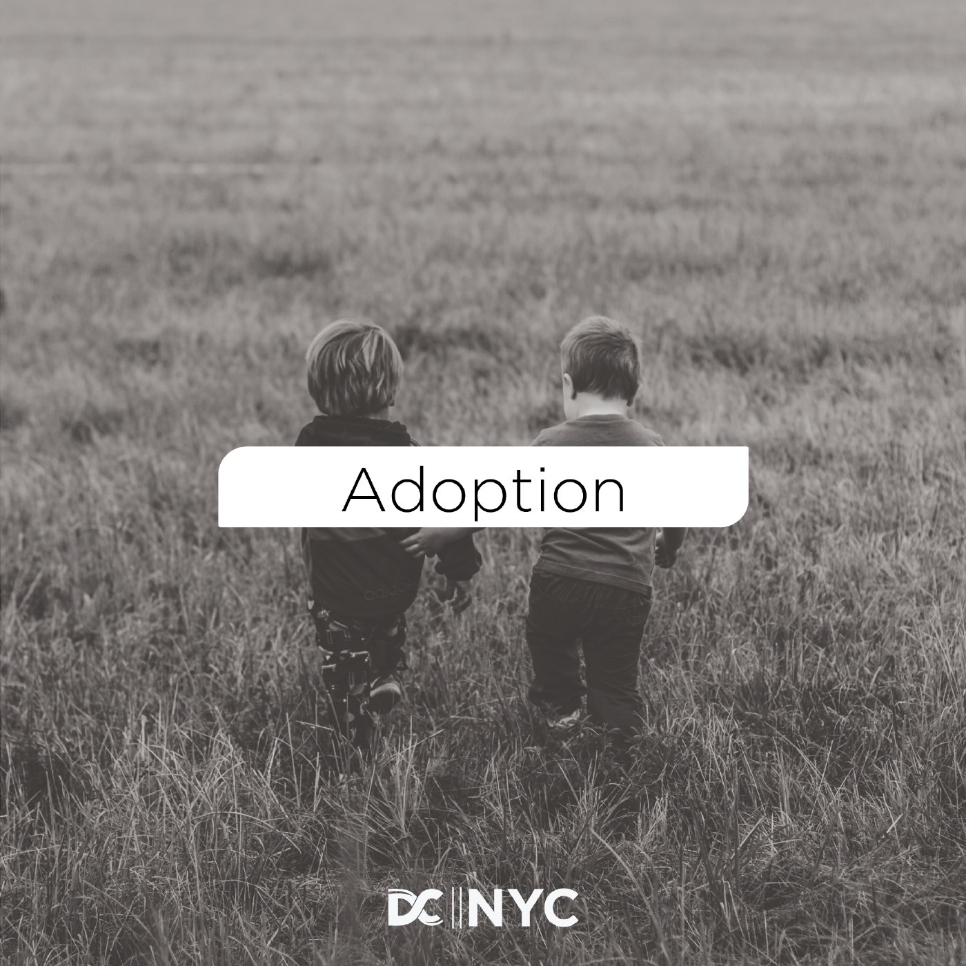 Adoption episode artwork