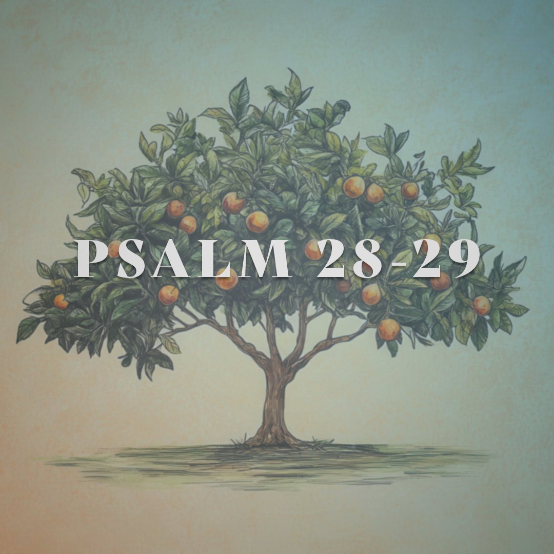 Psalm 28-29