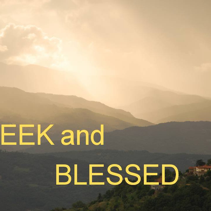Meek and Blessed episode artwork