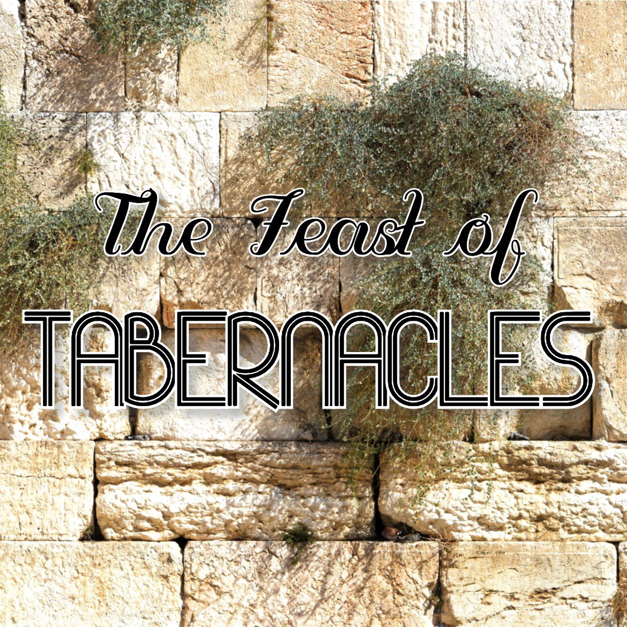 Peace Apostolic Ministries