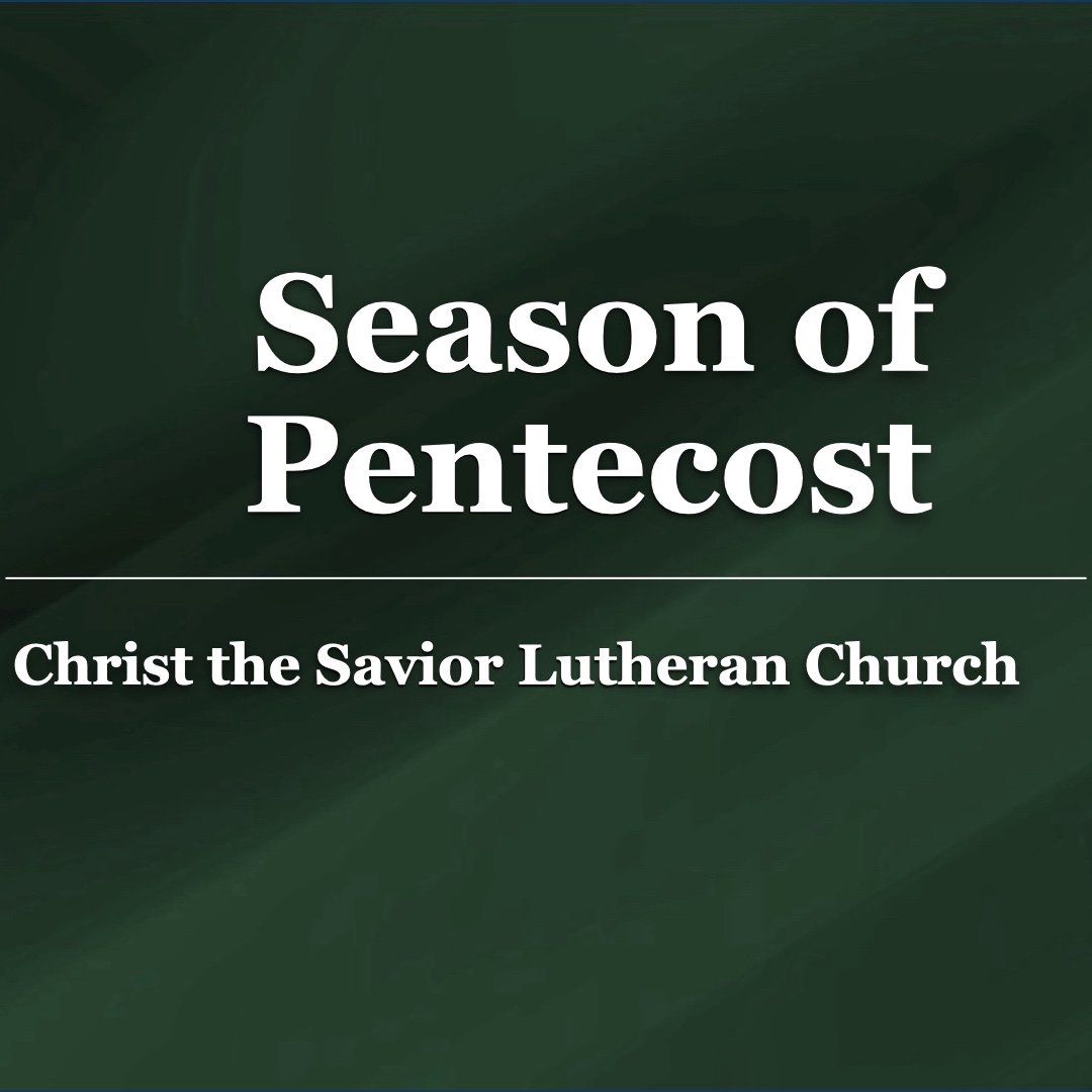Jesus Denounces Scribes / Widow's Offering episode artwork