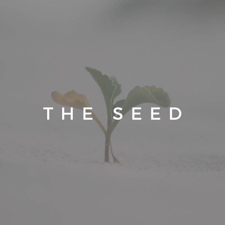 The Seed episode artwork