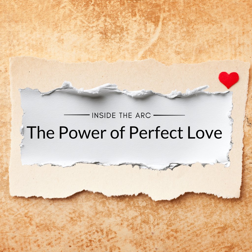 The Power of Perfect Love episode artwork