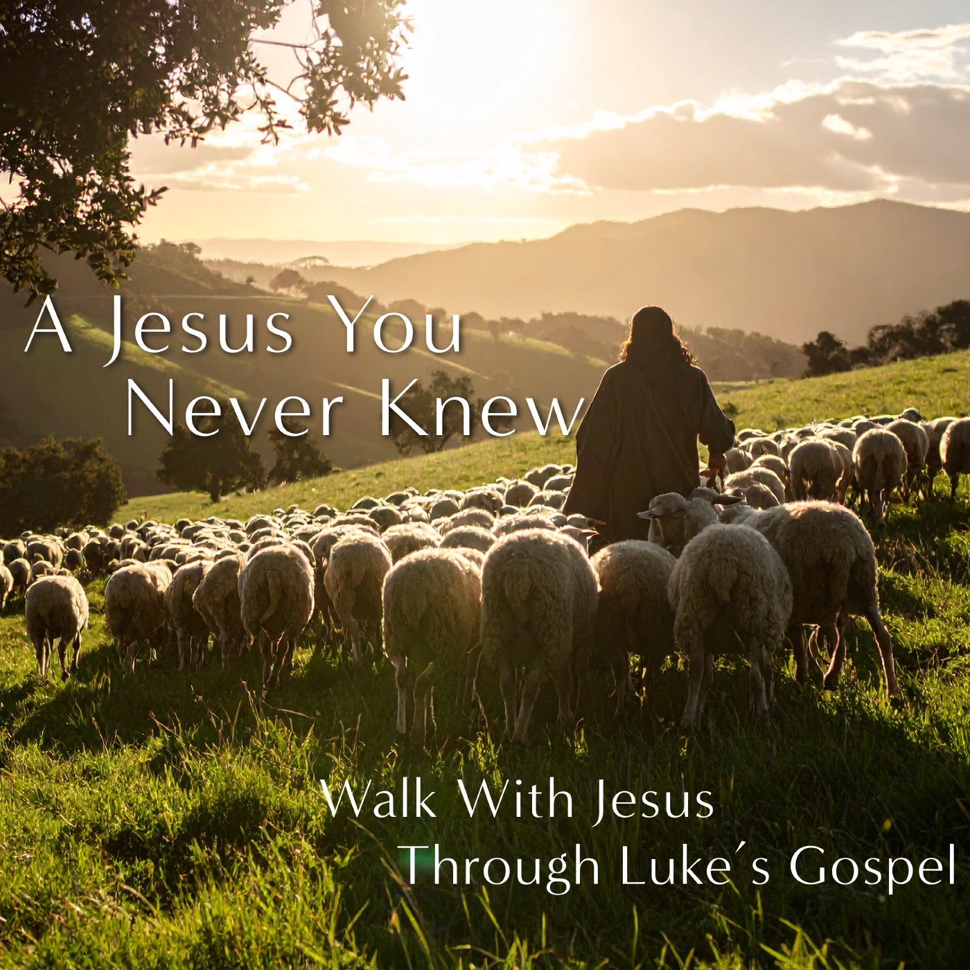 6.28.2026 | Luke 6:46-49 | Keith Crosby episode artwork