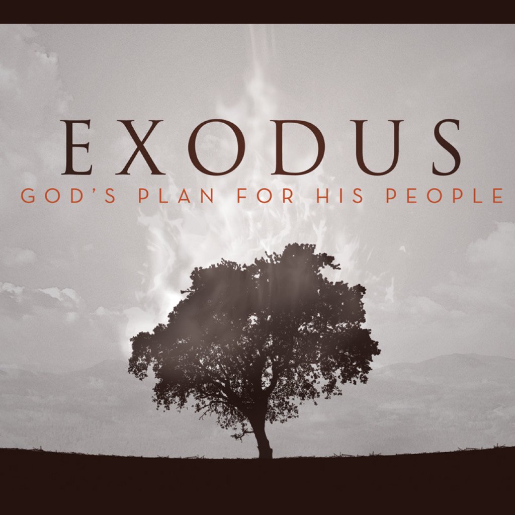 Exodus: Signs and Wonders episode artwork