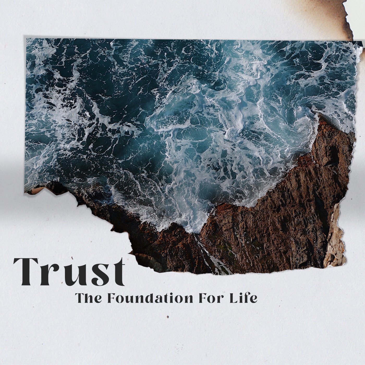 The Action of Trust | Renewal