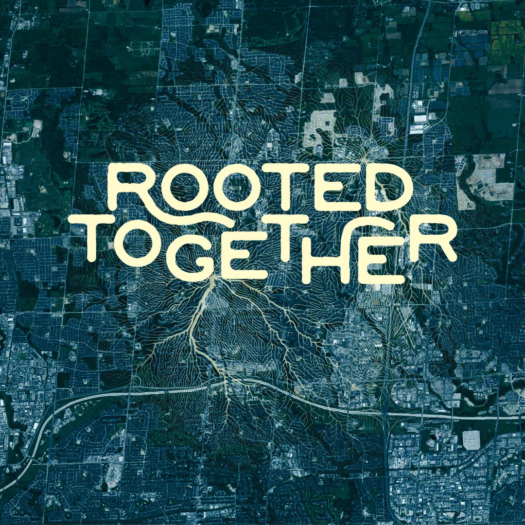 The Importance and Fragility of Community episode artwork