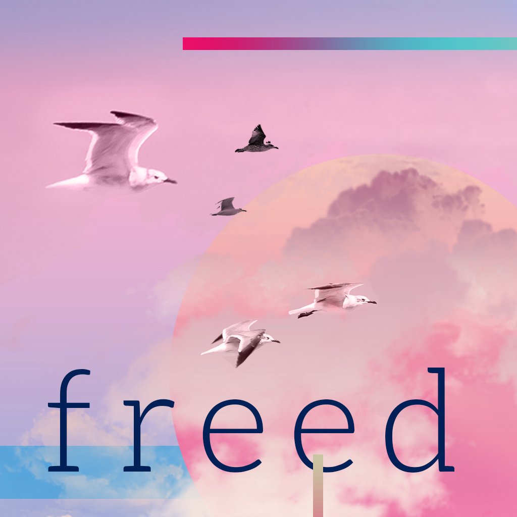 Freed | week 4 episode artwork